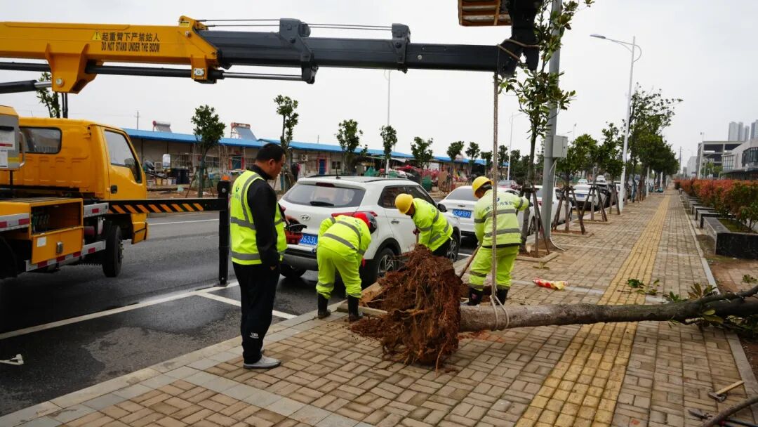 1763449013591563.jpg 1763449013591563.jpg