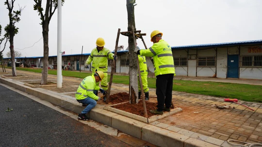 1763449055420020.jpg 1763449055420020.jpg