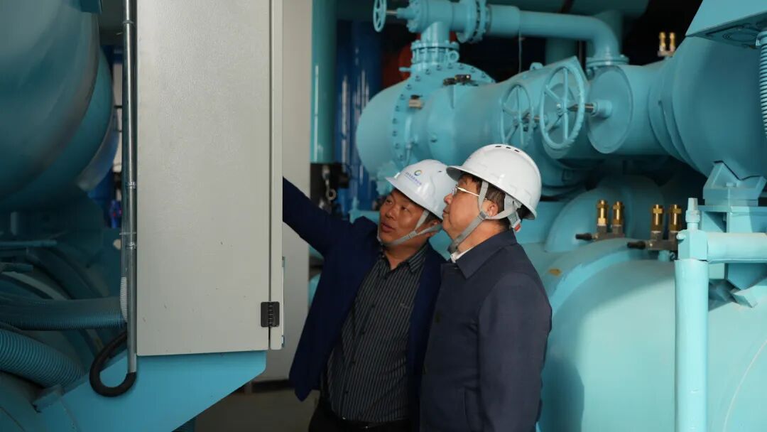 1764829252390550.jpg 1764829252390550.jpg